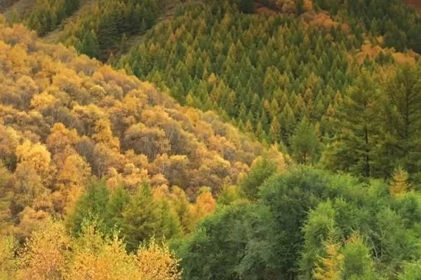 Recommended Attractions to Visit in Ulanqab in Autumn 