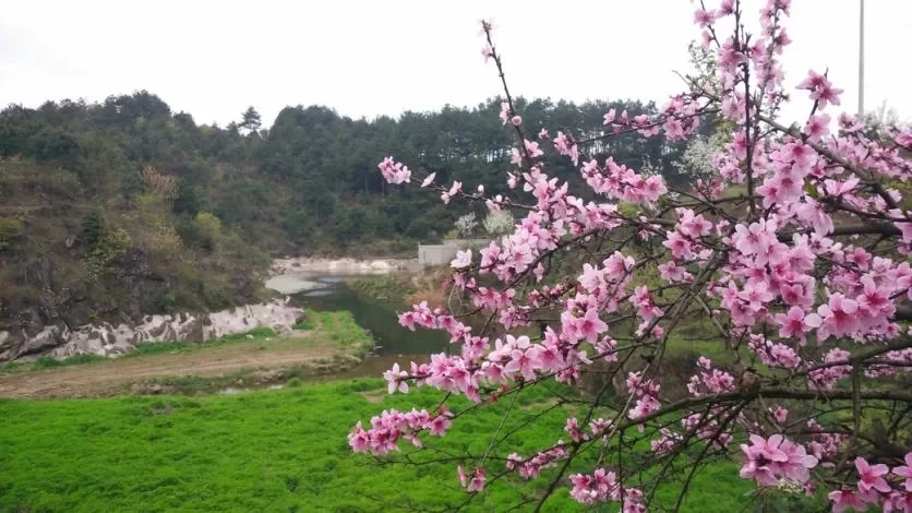 Three Graves of Xiwen One-Day Tour Guide 