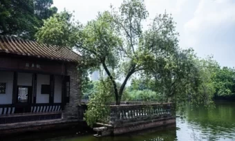 Where to Have Fun in Dongguan for a Day Trip 