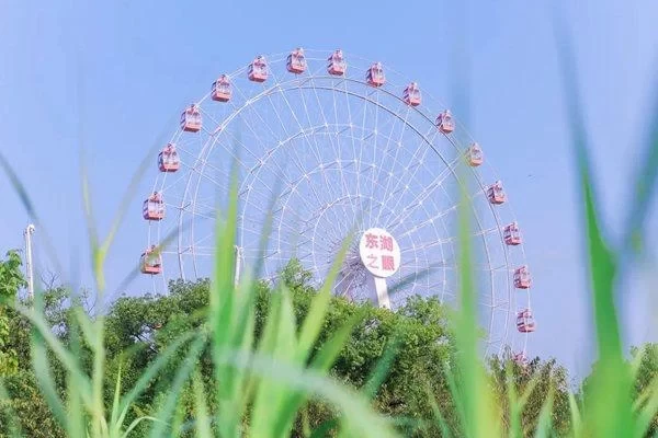 How Many People Can Ride the East Lake Eye Ferris Wheel? Do You Need to Fill Up a Cabin? 