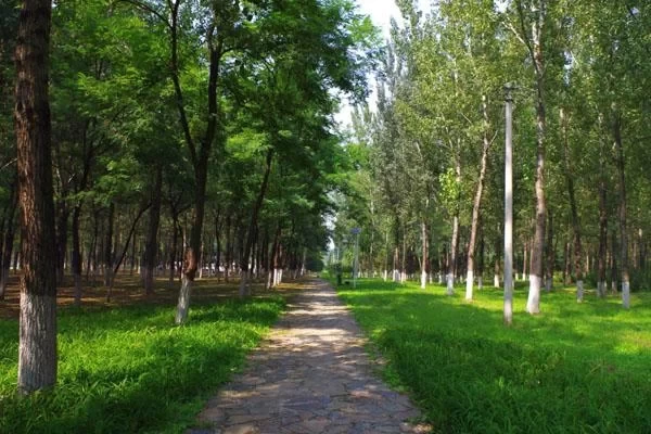 Best Cycling Routes in Beijing in Autumn 