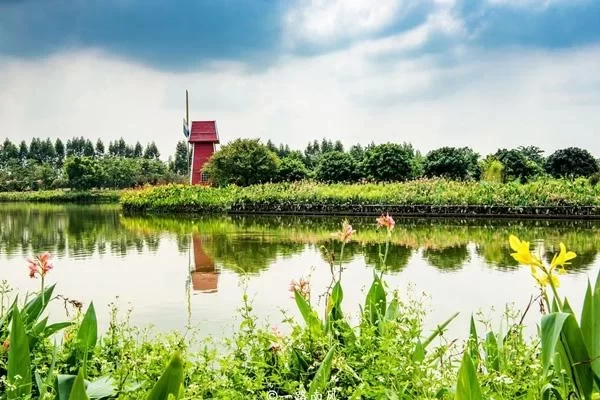 Best Camping Spots in Foshan