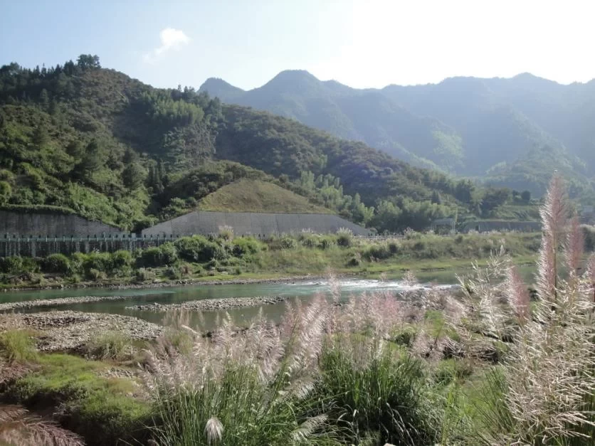 Jincun Tourism Guide in Xiaomei Town, Longquan, Lishui