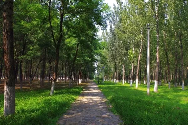 Recommended Places for the Most Beautiful Cycling in Beijing in Autumn 