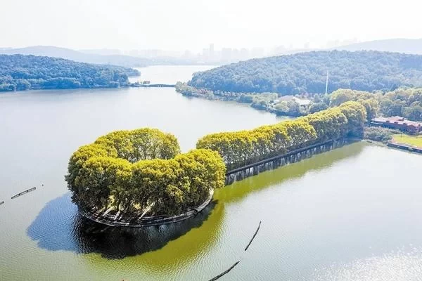 Where to Go in Wuhan in Winter: A-list Attractions for Your Choice 