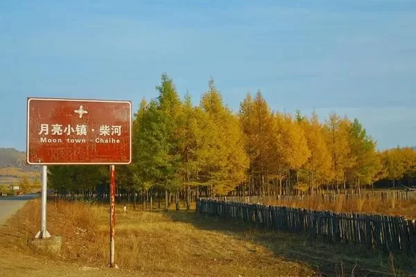 Inner Mongolia's Most Beautiful Prairie Highway Self-Driving Routes 