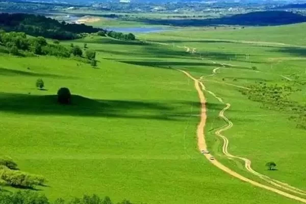 Inner Mongolia's Most Beautiful Prairie Highway Self-Driving Routes 