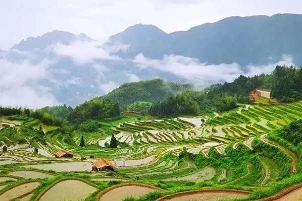 Yunhe Rice Terraces Scenic Area Travel Guide: Where is Yunhe Rice Terraces