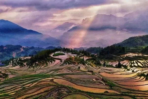 Yunhe Rice Terraces Scenic Area Travel Guide: Where is Yunhe Rice Terraces 