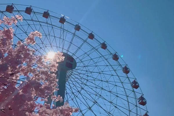 East Lake Eye Ferris Wheel Operating Hours and Opening Hours 