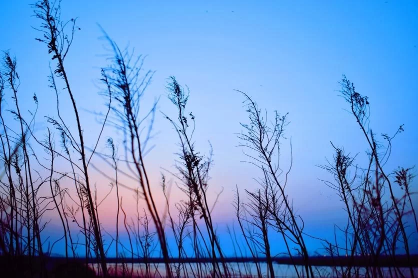 What's Fun to Do at Shanghai's Dishui Lake? Is Dishui Lake Fun? 