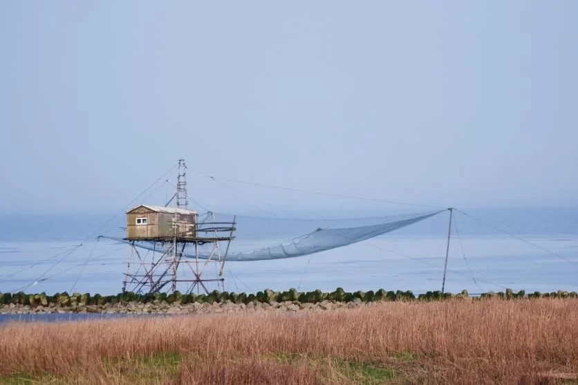 What's Fun to Do at Shanghai's Dishui Lake? Is Dishui Lake Fun? 