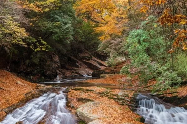 Guangwu Mountain One-Day Tour Guide 