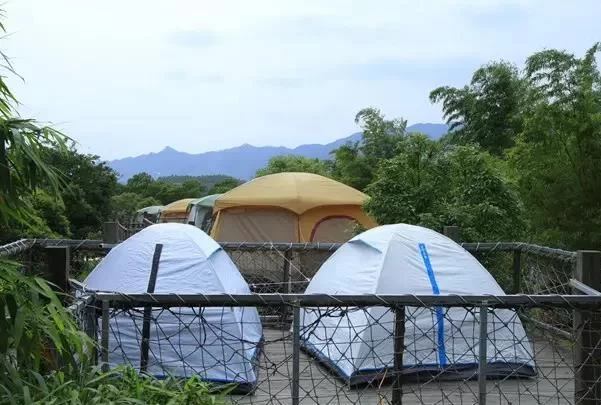 Recommended Camping Spots in Foshan During Autumn 