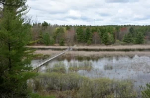 Is Thousand Islands Fun? What are the Must-See Places in Thousand Islands?