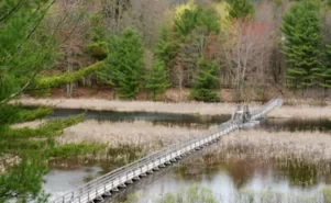 Is Thousand Islands Fun? What are the Must-See Places in Thousand Islands? 