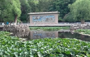 How Many Springs Are There in Wuzhuang Mountain in Lanzhou? The Origin of Wuzhuang Mountain 