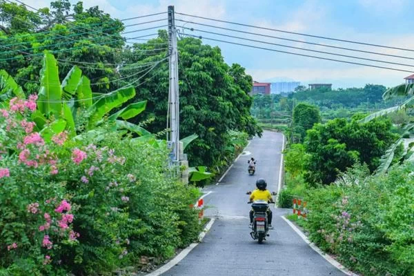 Best Cycling Routes in Foshan