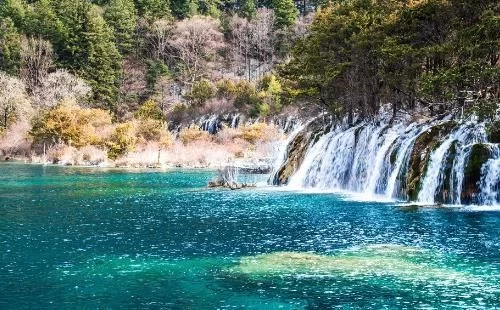 Jiuzhaigou Fire Flower Sea is gone, can Fire Flower Sea be restored to its original appearance? 