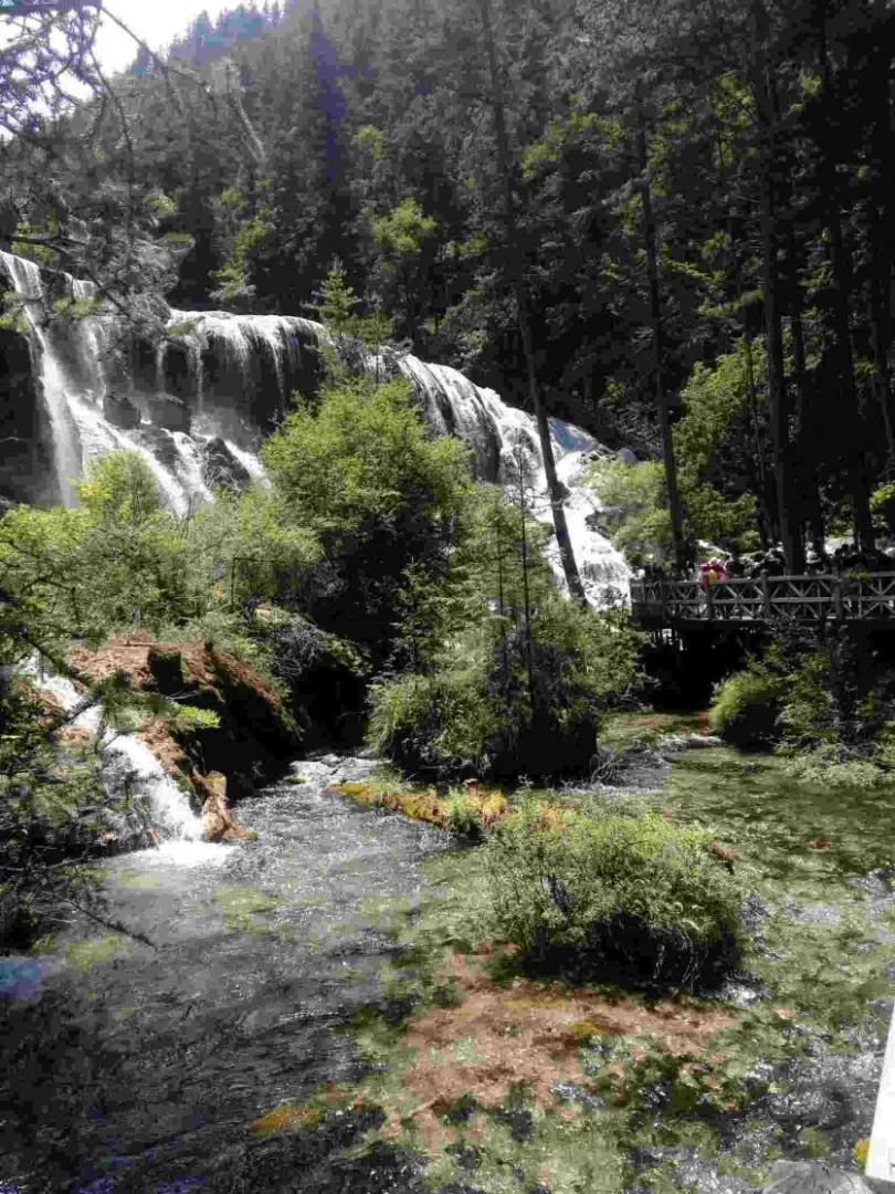 Is August a Good Time to Visit Jiuzhaigou? A Travel Guide for August 