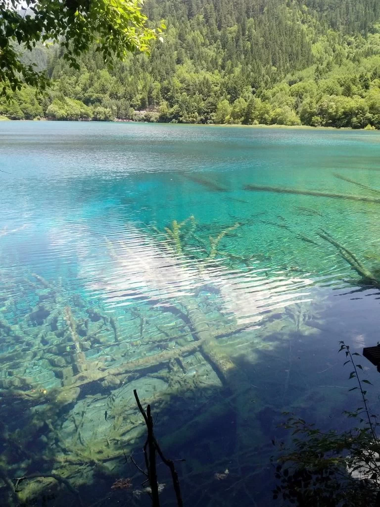 Is August a Good Time to Visit Jiuzhaigou? A Travel Guide for August 