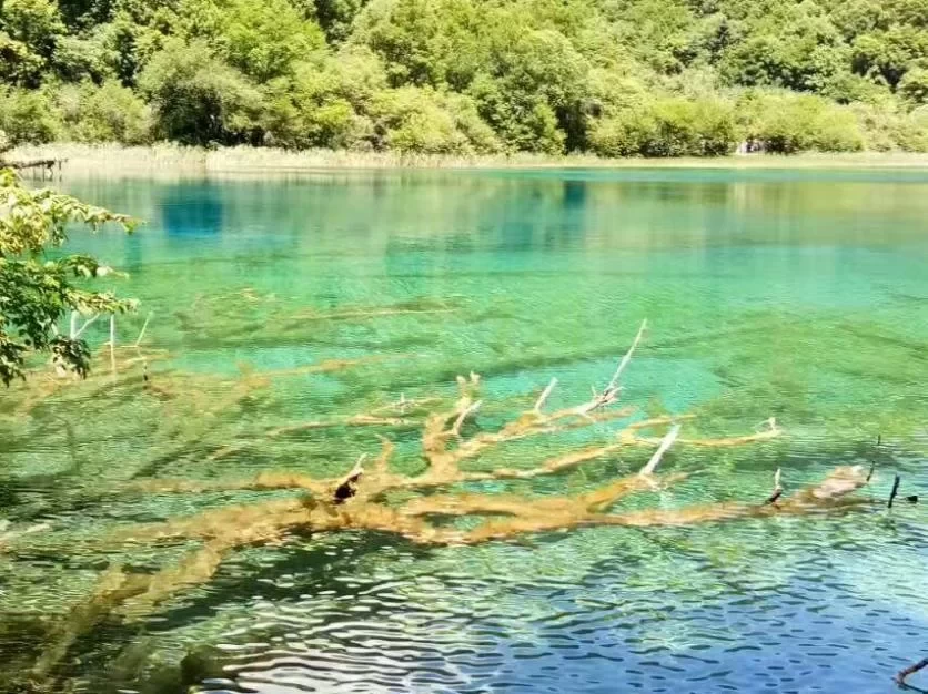 Is August a Good Time to Visit Jiuzhaigou? A Travel Guide for August 