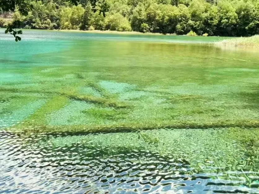 Is August a Good Time to Visit Jiuzhaigou? A Travel Guide for August 