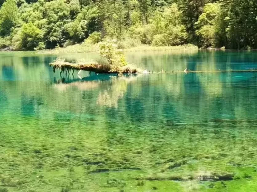 Is August a Good Time to Visit Jiuzhaigou? A Travel Guide for August 