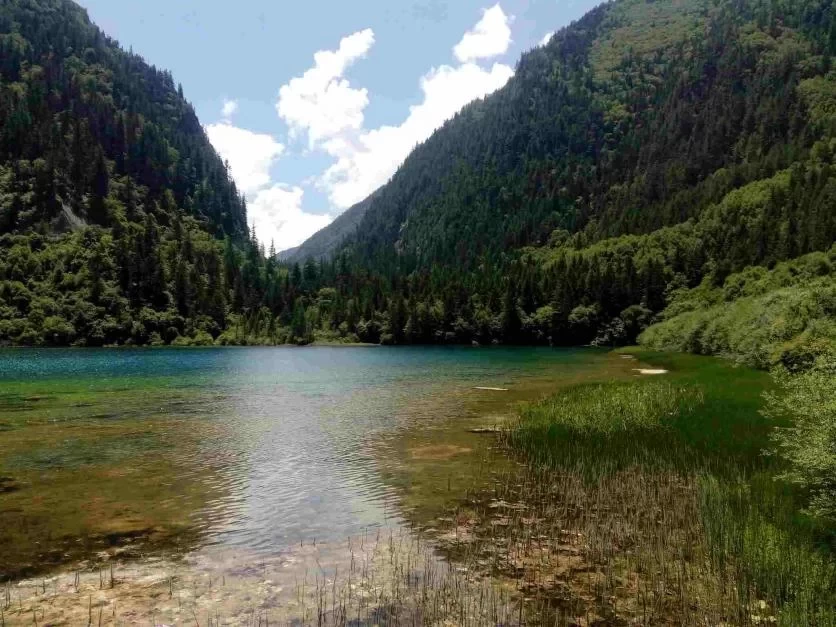 Is August a Good Time to Visit Jiuzhaigou? A Travel Guide for August 