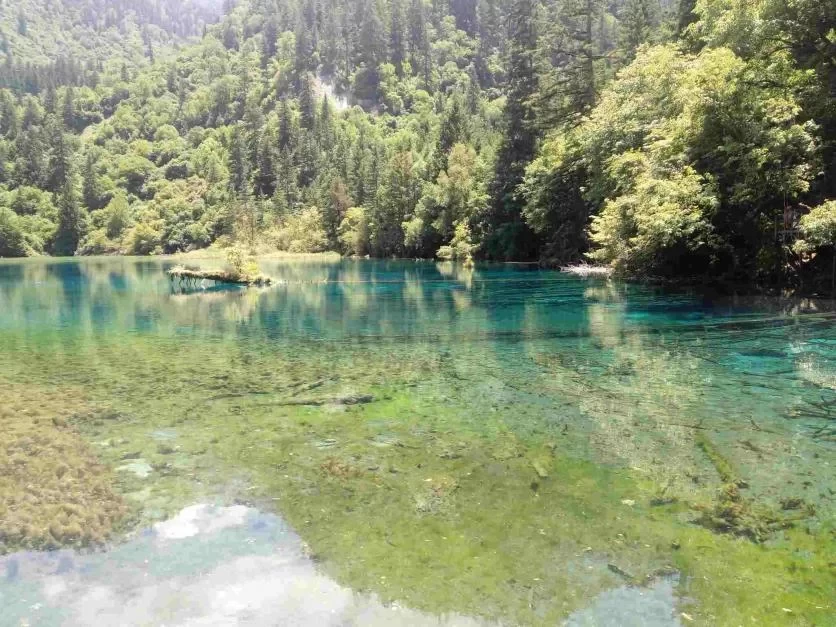 Is August a Good Time to Visit Jiuzhaigou? A Travel Guide for August 