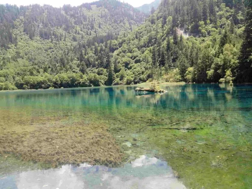 Is August a Good Time to Visit Jiuzhaigou? A Travel Guide for August 