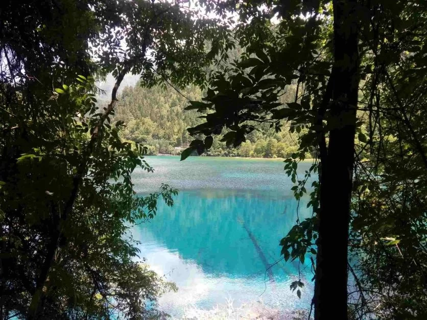 Is August a Good Time to Visit Jiuzhaigou? A Travel Guide for August 