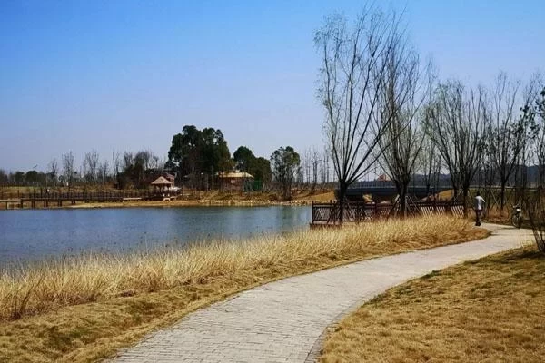 Recommended Camping Spots in Jiujiang in Autumn