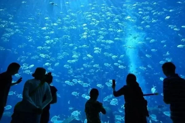 Which Aquarium in Sanya is Better