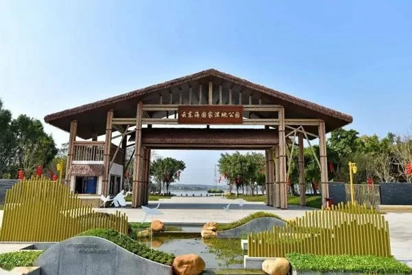 Best Camping Spots in Foshan 