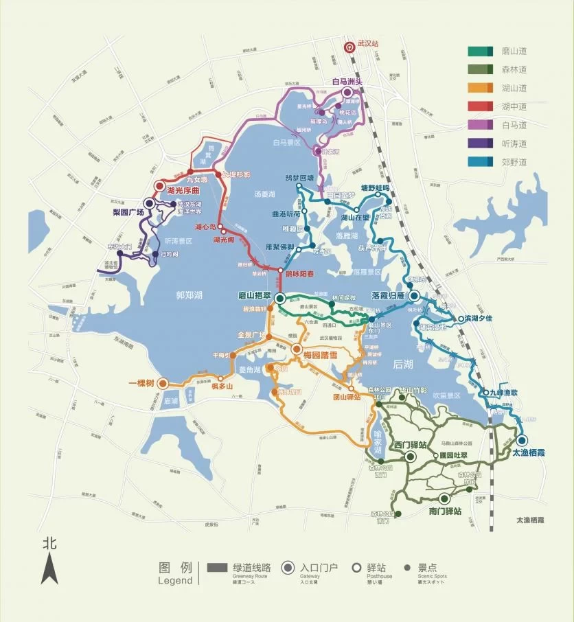 Which section of East Lake Greenways is the most fun? Local Wuhan people tell you each section has its own unique features