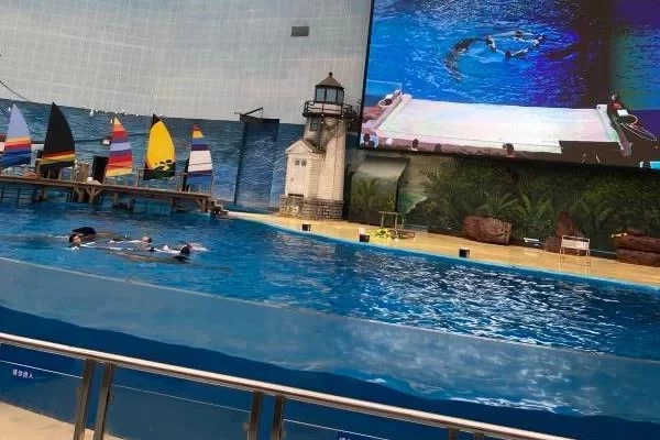 Shanghai Haichang Ocean Park One-Day Tour Guide 