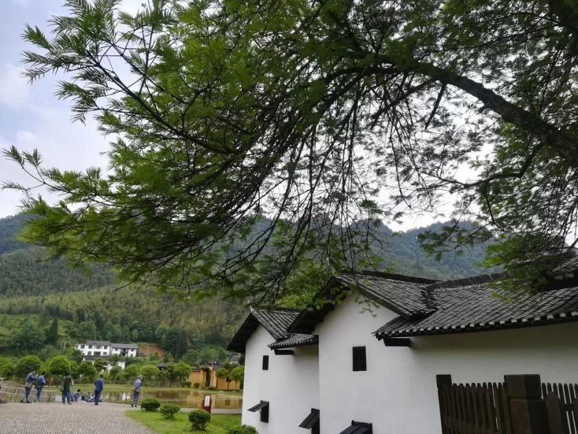 The Most Fun Places to Visit in the Jinggangshan Scenic Area 