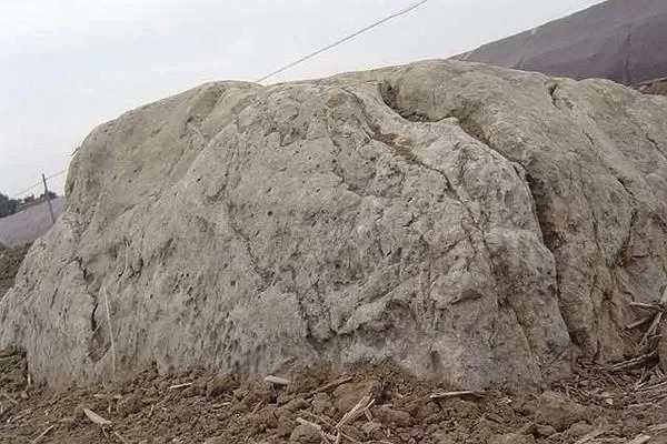 Where is the shortest mountain in the world? It’s our Jing Mountain in China 