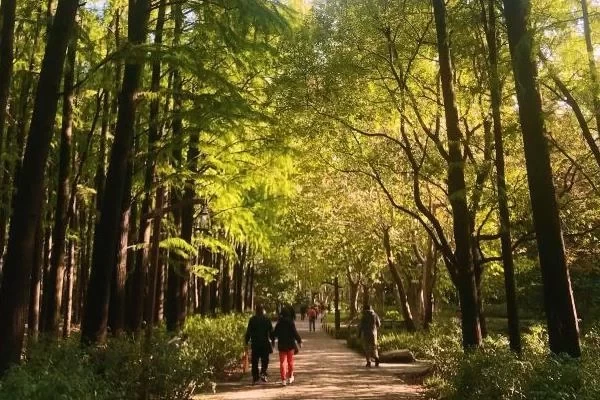 Free Parks Worth Visiting in Shanghai