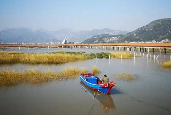 Where is the mangrove forest on Ximen Island, Yueqing - Is it fun? 