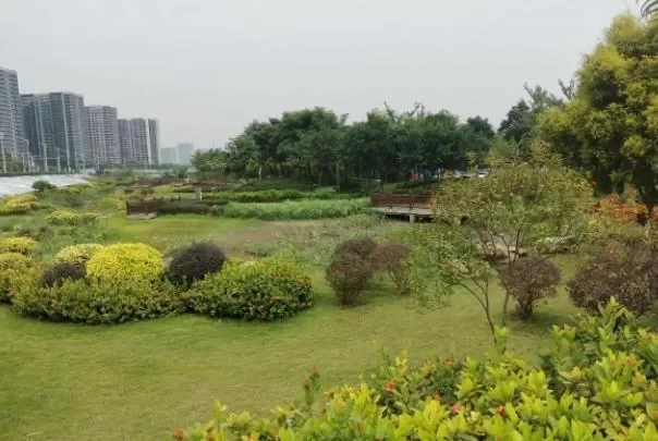 Recommended Self-Driving Camping Spots in Foshan 