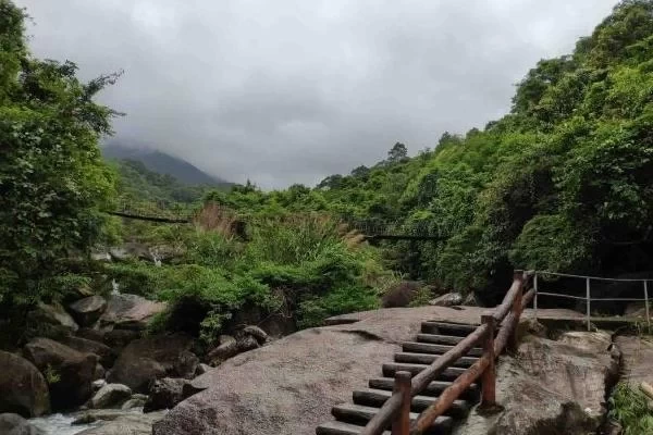 Is Pingfeng Rainforest Park in Dongxing Worth Visiting? A One-Day Trip Guide