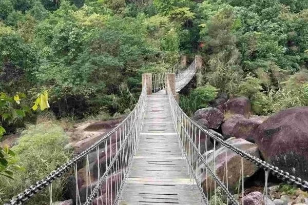 Is Pingfeng Rainforest Park in Dongxing Worth Visiting? A One-Day Trip Guide 