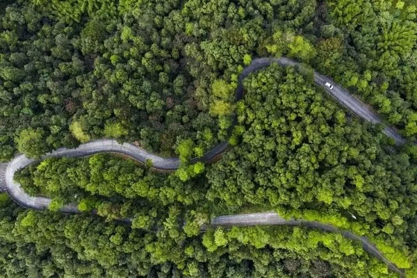 Free Mountains to Climb in Foshan 