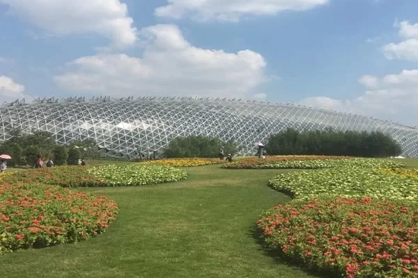 Shanghai Chenshan Botanical Garden One-Day Tour Strategy