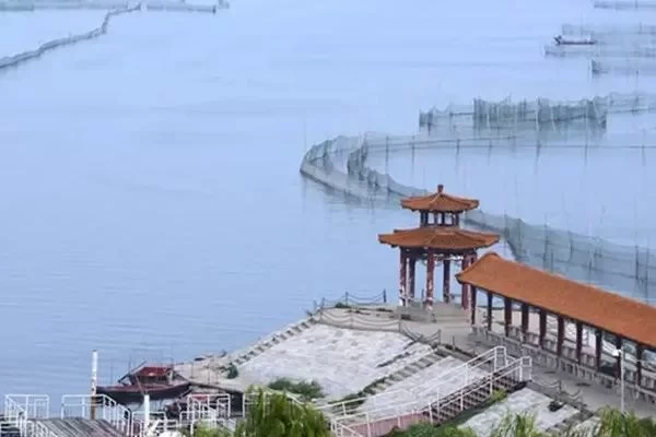 How much is the entrance fee to Dongping Lake Scenic Area? 