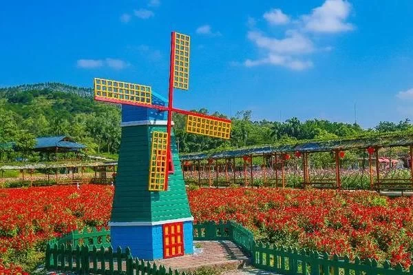 Best Places to See Flowers in Foshan This Spring: A Guide to Flower Sea Attractions