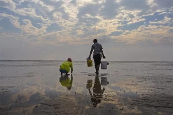 Best Places to Go Clamming in Dandong 