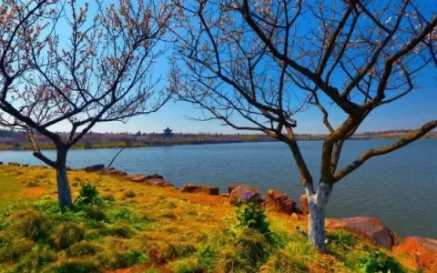 Recommended Cycling Routes in Fengxian, Shanghai, for the Best Autumn Experience